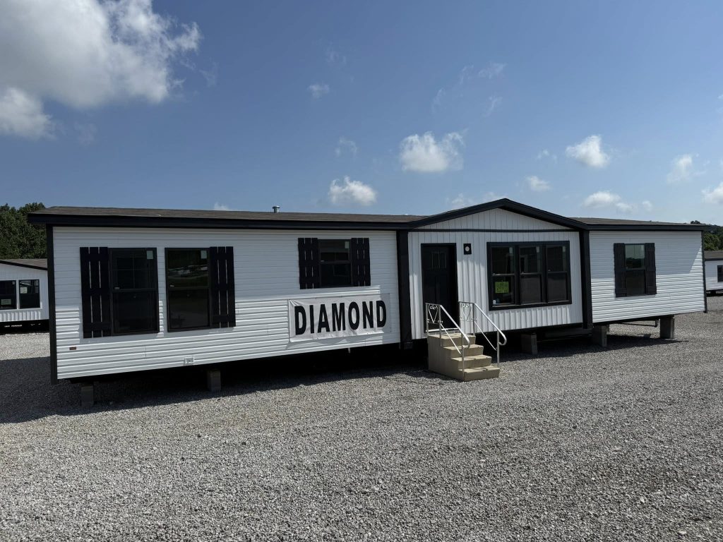 515497151_1131262455690650_1628842501812616808_n