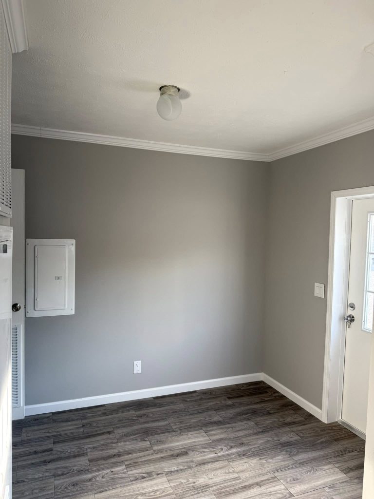 550157411_1196131669203728_5581698547843368820_n